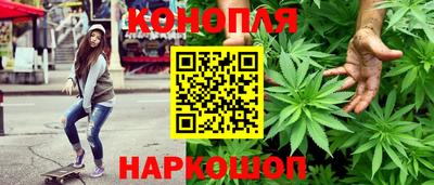 гидра Туймазы