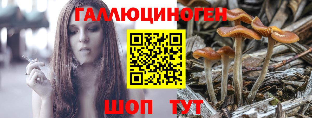 Псилоцибиновые грибы ЛСД  Вход с VPN  Лыткарино  Псилоцибиновые грибы MAGIC MUSHROOMS 